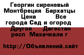 Георгин сиреневый. Монтбреция. Бархатцы.  › Цена ­ 100 - Все города Сад и огород » Другое   . Дагестан респ.,Махачкала г.